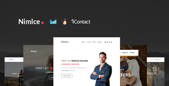 Nimlce - Responsive E-mail Templates set + Online Access