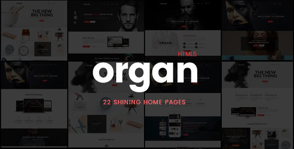 Organ - Creative Multi-Purpose Business, Finance HTML5 Responsive Website Template