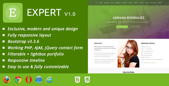 Expert CV / Resume & Portfolio