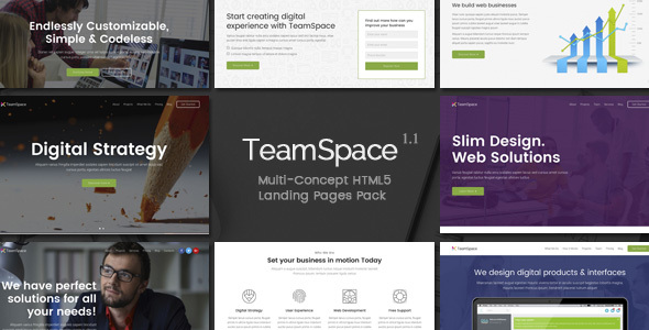 TeamSpace - Multi-Concept Landing Pages Pack