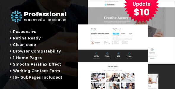 Professional -  Creative Agency & Business HTML Template