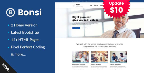 Bonsi - Business Consulting and Professional Services HTML Template
