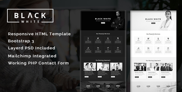 Black - White - Multipurpose Responsive HTML Landing Page