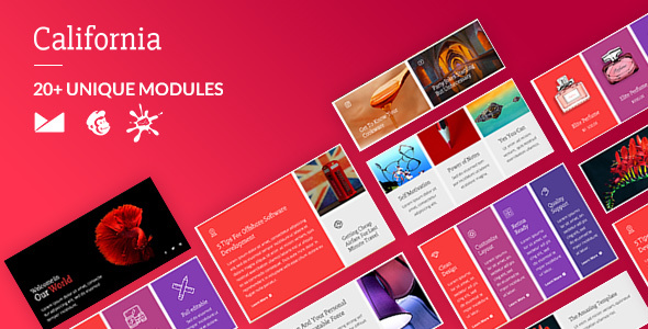 California Email-Template + Online Builder