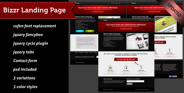 Bizzr Landing Page
