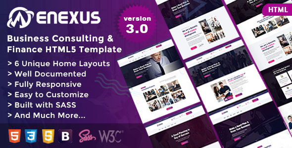 Enexus - Consulting Business