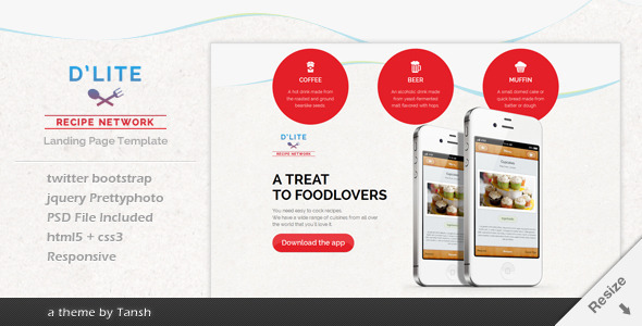 D'lite Responsive HTML Landing Page Template