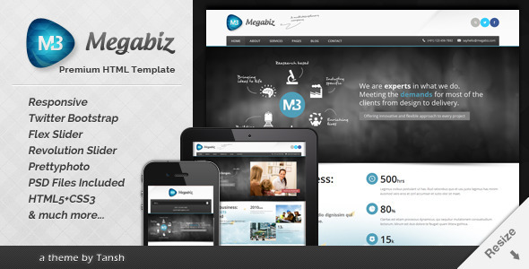 Megabiz Responsive HTML/CSS Template