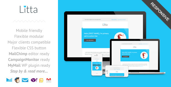Litta - Clean Responsive Newsletter Template
