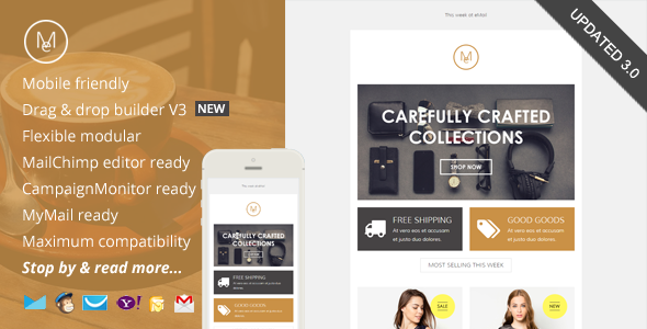 Email, eCommerce Email Template + Online Editor