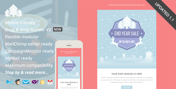 Promo, Holiday Email Template + Builder Access